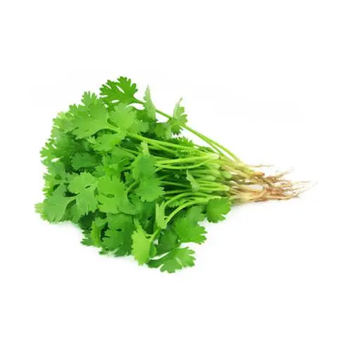 Coriander Sanitized 250g 